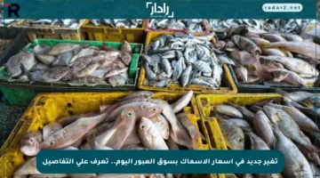 تغير جديد في أسعار الأسماك بسوق العبور اليوم.. تعرف على التفاصيل